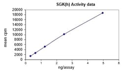 Eurofins DiscoverX SGK1 ( 1-59, S422D) Protein, Active 6 &mu;g | Buy Online | Eurofins DiscoverX | Fisher Scientific
